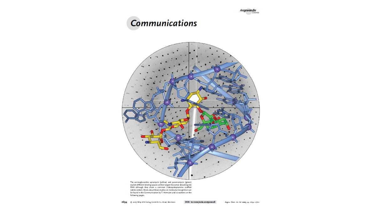 Molecular Recognition by Glycoside Pseudo Base Pairs and Triples in an Apramycin–RNA Complex