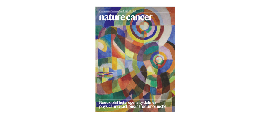 An Antibody-toxin Conjugate Targeting CD47 Linked to the Bacterial Toxin Listeriolysin O for Cancer Immunotherapy