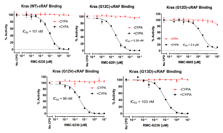 Targeting the Oncogenic State of RAS with Tri-Complex Inhibitors: Aurora Biolabs Launches First Binding Assay for KRAS G12D/CypA/Inhibitor Screening