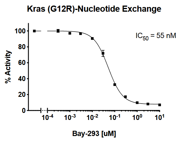 Kras G12R Nucleotide Exchange Assay Kit Kras G12R Nucleotide Exchange Assay Kit