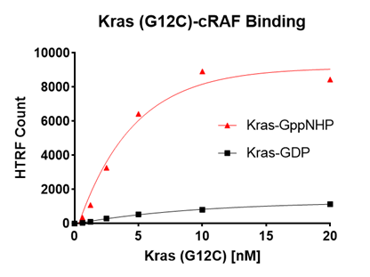 Kras G12C – cRAF Binding Assay Kit Kras G12C – cRAF Binding Assay Kit