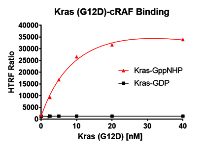 Kras G12D– cRAF Binding Assay Kit Kras G12D– cRAF Binding Assay Kit