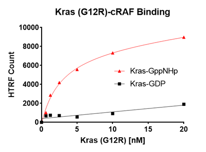 Kras G12R – cRAF Binding Assay Kit Kras G12R – cRAF Binding Assay Kit