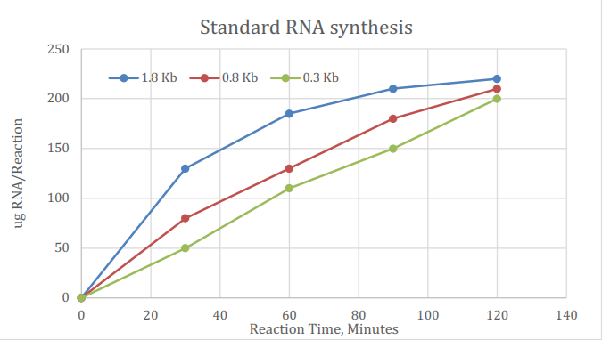 T7 High Yield RNA Synthesis Kit T7 High Yield RNA Synthesis Kit