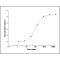 Mouse TIGIT / VSTM3 Protein (Fc Tag)