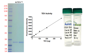 AiTEV™ Protease AiTEV™ Protease