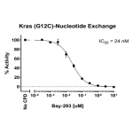 Kras G12C Nucleotide Exchange Assay Kit 