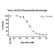 Kras G12C Nucleotide Exchange Assay Kit 