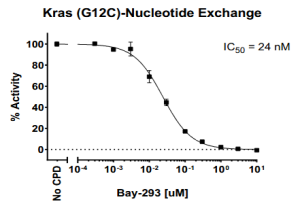 Kras G12C Nucleotide Exchange Assay Kit 