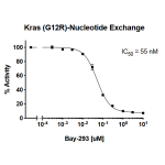 Kras G12R Nucleotide Exchange Assay Kit 