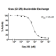 Kras G12R Nucleotide Exchange Assay Kit 