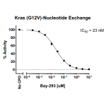 Kras G12V Nucleotide Exchange Assay Kit 