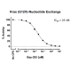 Kras G12V Nucleotide Exchange Assay Kit 