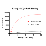 Kras G12C – cRAF Binding Assay Kit