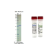 Kras G12D, GST-tag, GppNHp loaded  