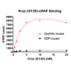 Kras G13D– cRAF Binding Assay Kit 