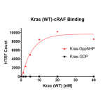 Kras WT – cRAF Binding Assay Kit 
