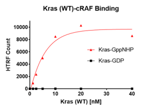 Kras WT – cRAF Binding Assay Kit 