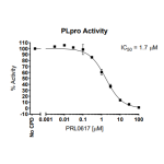 Papain-like (PLpro) Protease Assay Kit 