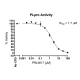 Papain-like (PLpro) Protease Assay Kit 