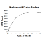 SARS-CoV-2 Nucleocapsid Protein Binding Kit (For rabbit antibody) 