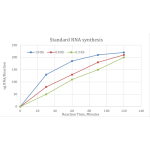 T7 High Yield RNA Synthesis Kit  