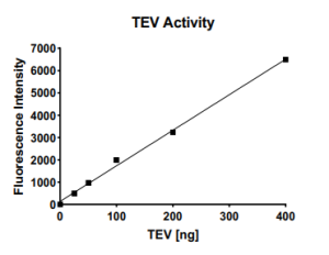 TEV Protease Activity Assay Kit