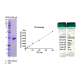 TEV Protease (Lyophilized)
