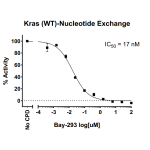 Kras WT Nucleotide Exchange Assay Kit 