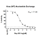 Kras WT Nucleotide Exchange Assay Kit 