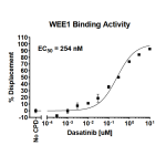 WEE1 Binding Assay Kit  