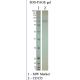 Recombinant Human CD155 