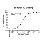 eIF4E/eIF4G Binding Assay Kit  