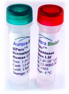 Recombinant Human LIF Protein-Animal Free-Lyophilized 