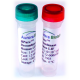Recombinant Human LIF 