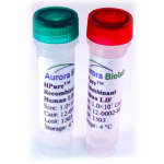 Recombinant Human LIF Protein-Carrier Free-Ready-to-Use 