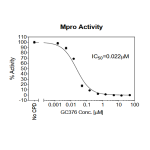 SARS-CoV-2 Mpro (3CL Protease) Assay Kit 