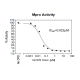 SARS-CoV-2 Mpro (3CL Protease) Assay Kit 