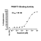 Recombinant Human Full Length PKMYT1