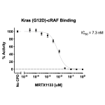Kras G12D– cRAF Binding Assay Kit 