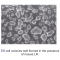 Recombinant Mouse LIF-Carrier-Ready-to-Use