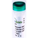 Recombinant Mouse LIF Protein-Carrier Free-Lyophilized