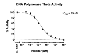 DNA Polymerase Theta Activity Assay Kit 