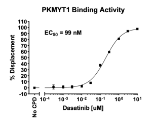 PKMYT1 Binding Assay Kit  
